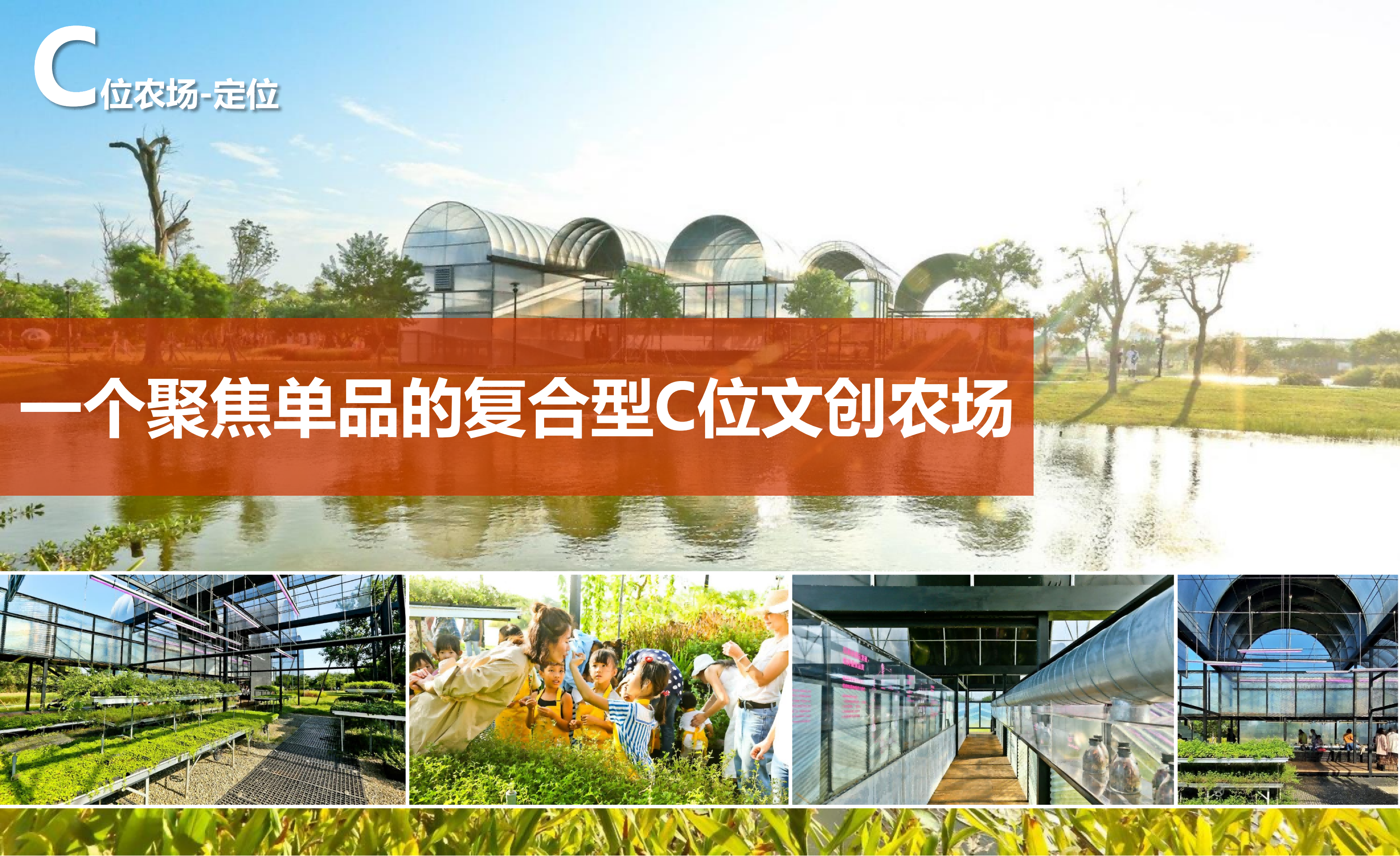 图片[59]-成都市川菜小镇田园综合体农业农文旅概念性规划设计 - 由甫网-由甫网