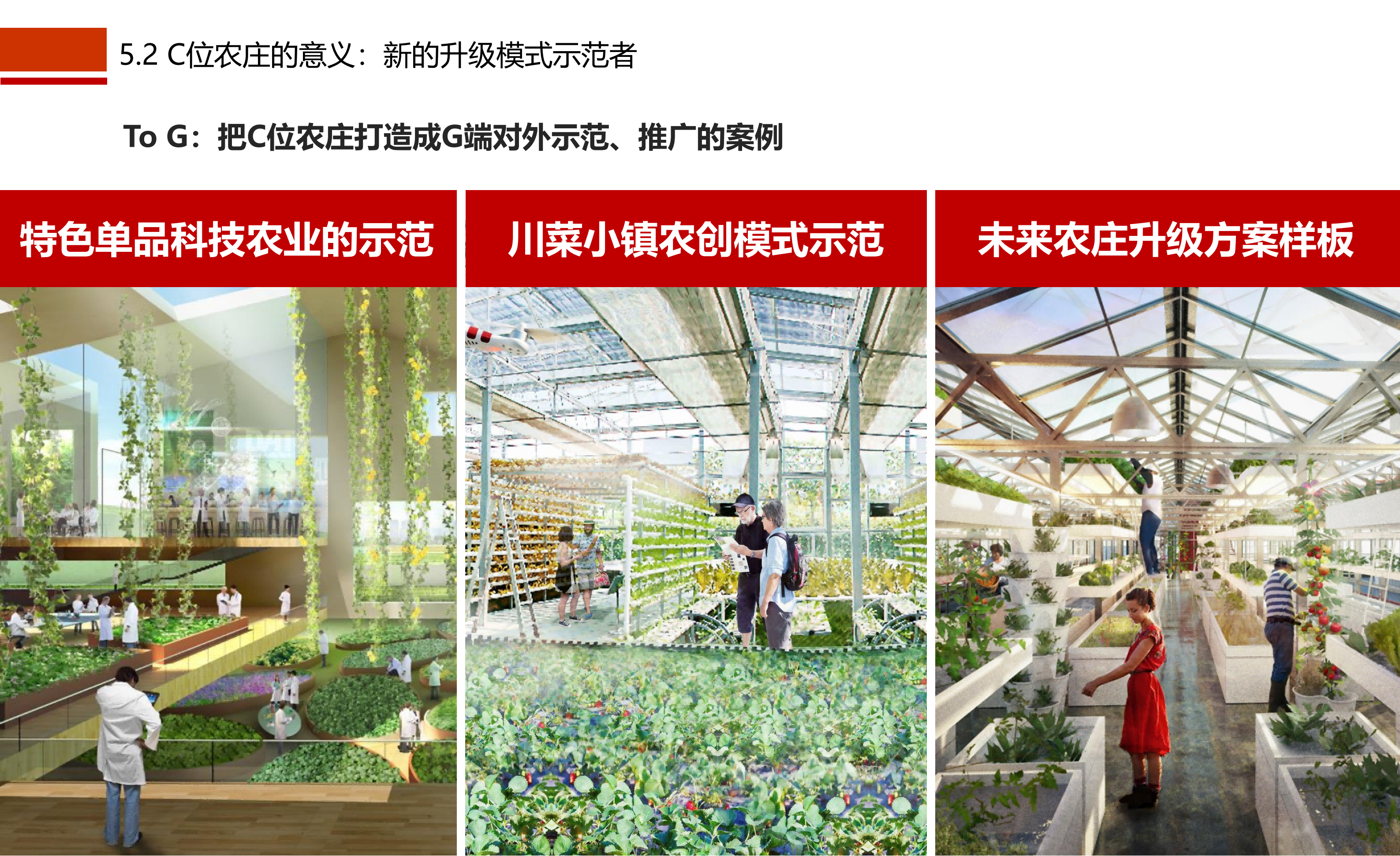 图片[62]-成都市川菜小镇田园综合体农业农文旅概念性规划设计 - 由甫网-由甫网