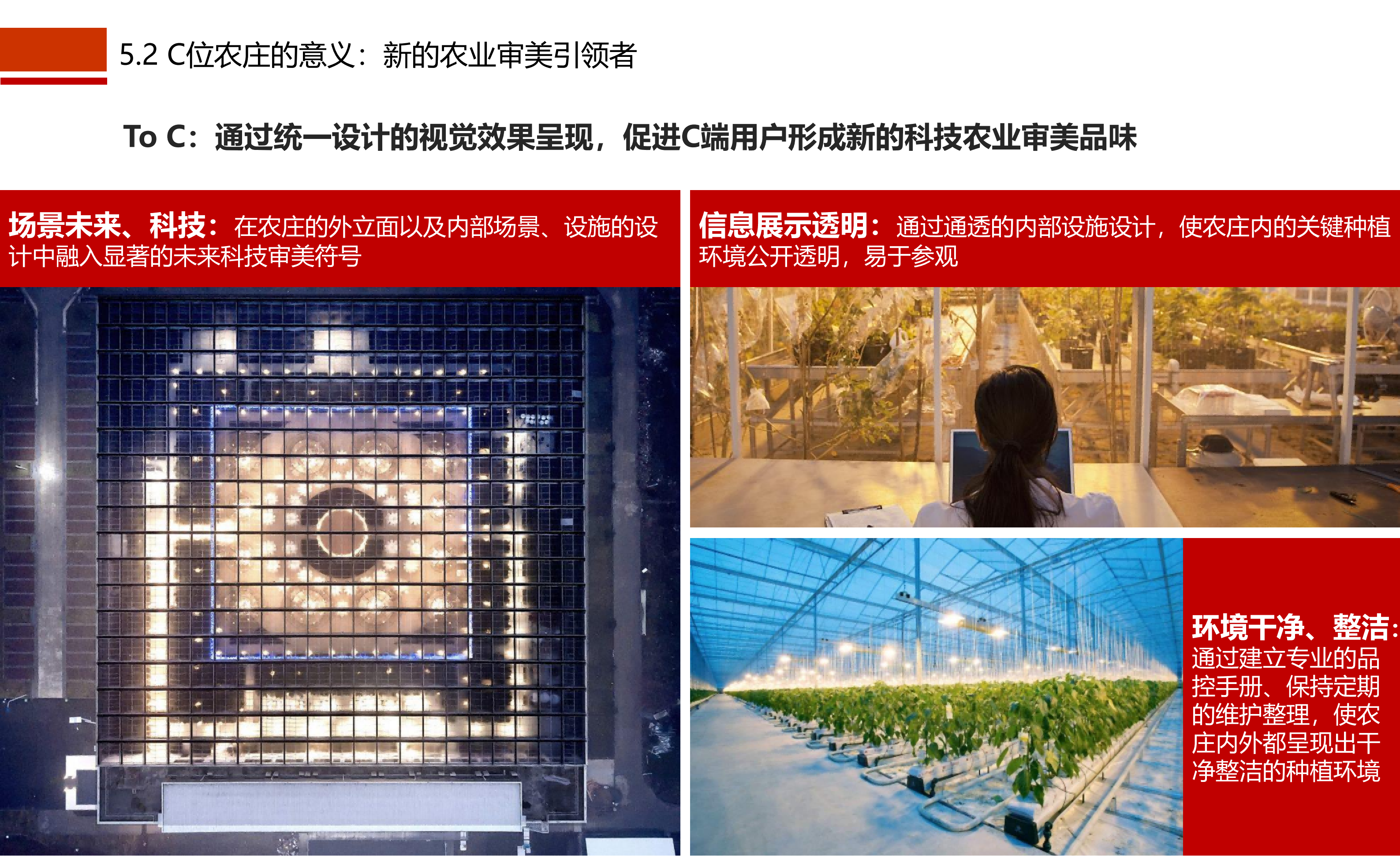 图片[63]-成都市川菜小镇田园综合体农业农文旅概念性规划设计 - 由甫网-由甫网