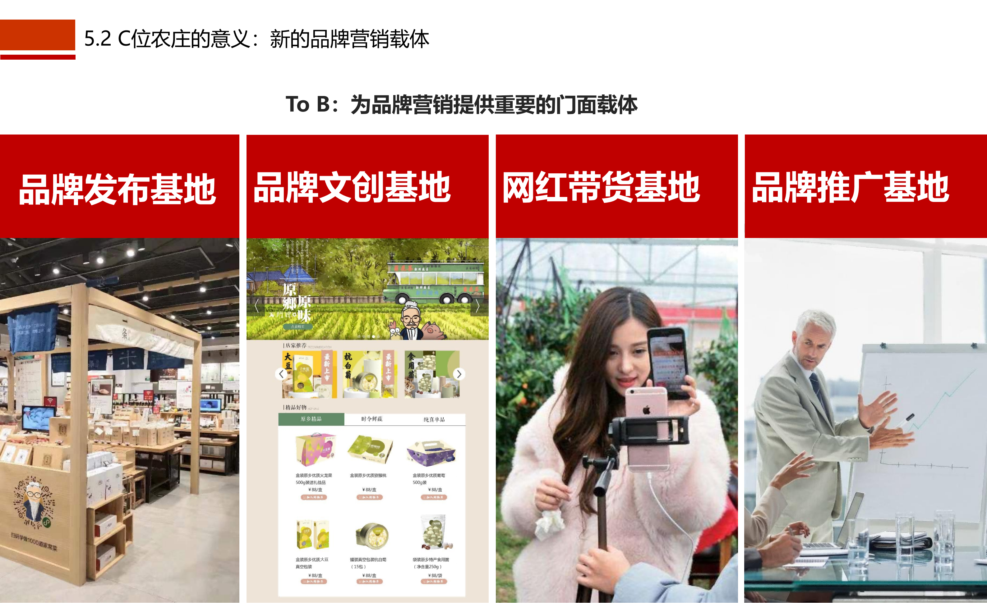 图片[64]-成都市川菜小镇田园综合体农业农文旅概念性规划设计 - 由甫网-由甫网