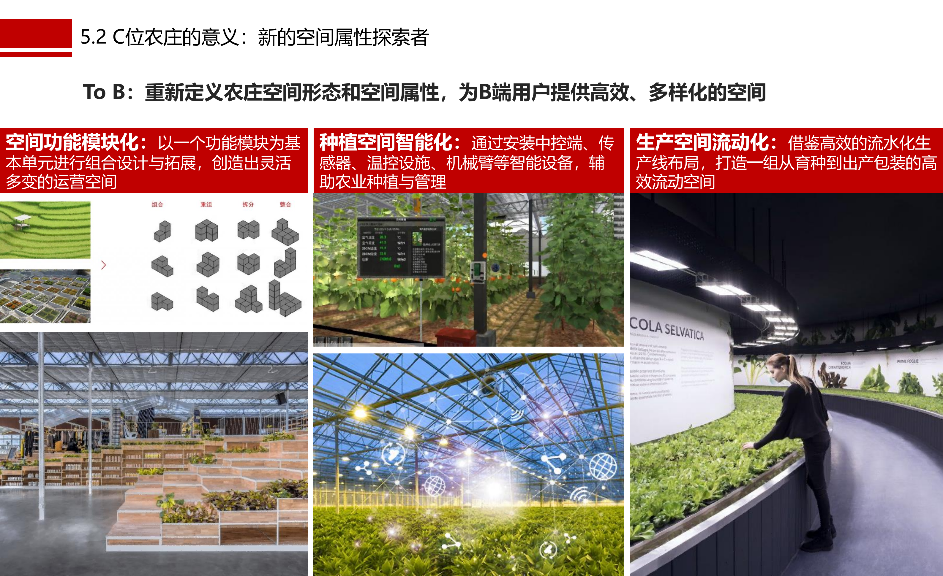 图片[66]-成都市川菜小镇田园综合体农业农文旅概念性规划设计 - 由甫网-由甫网