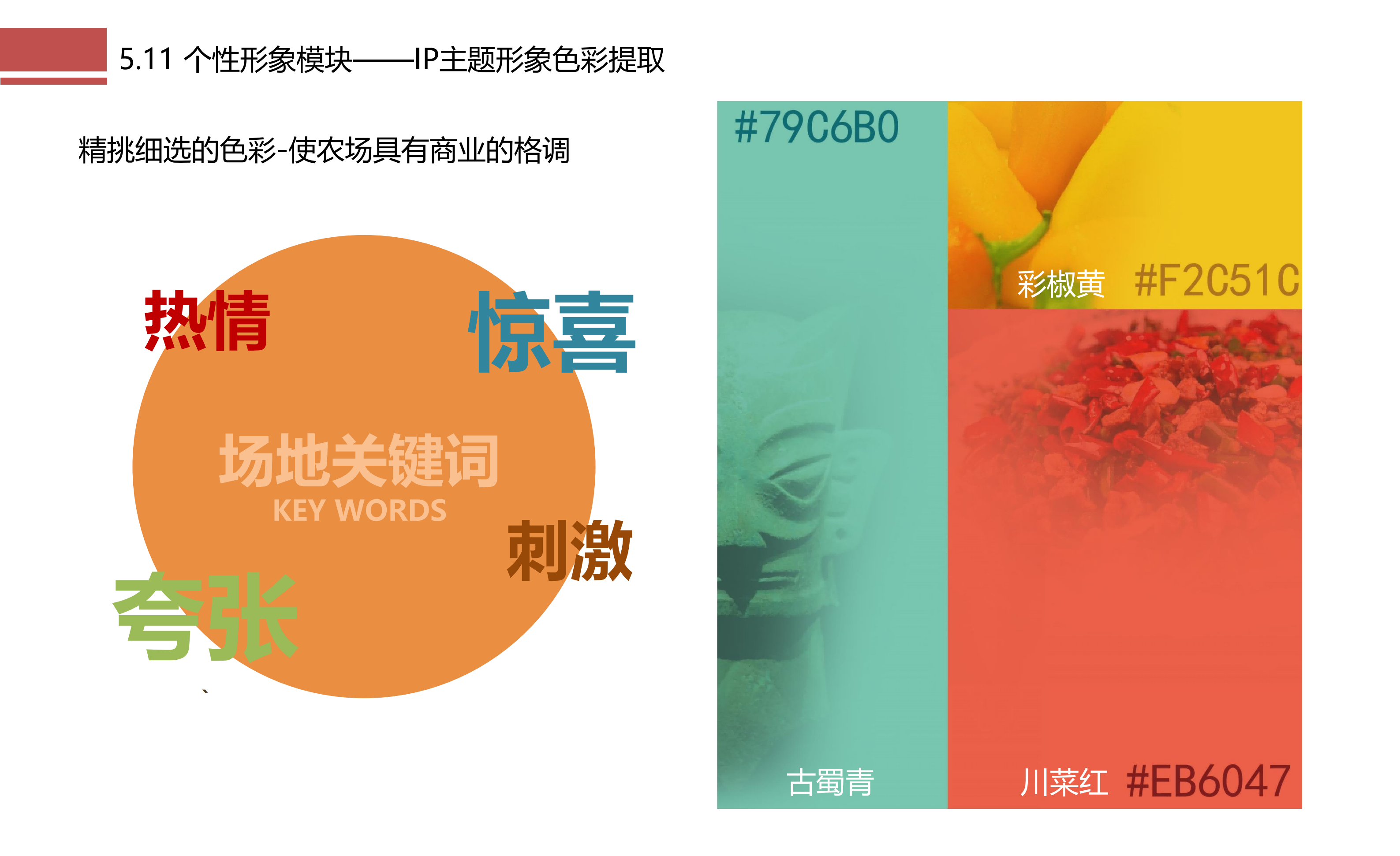 图片[79]-成都市川菜小镇田园综合体农业农文旅概念性规划设计 - 由甫网-由甫网