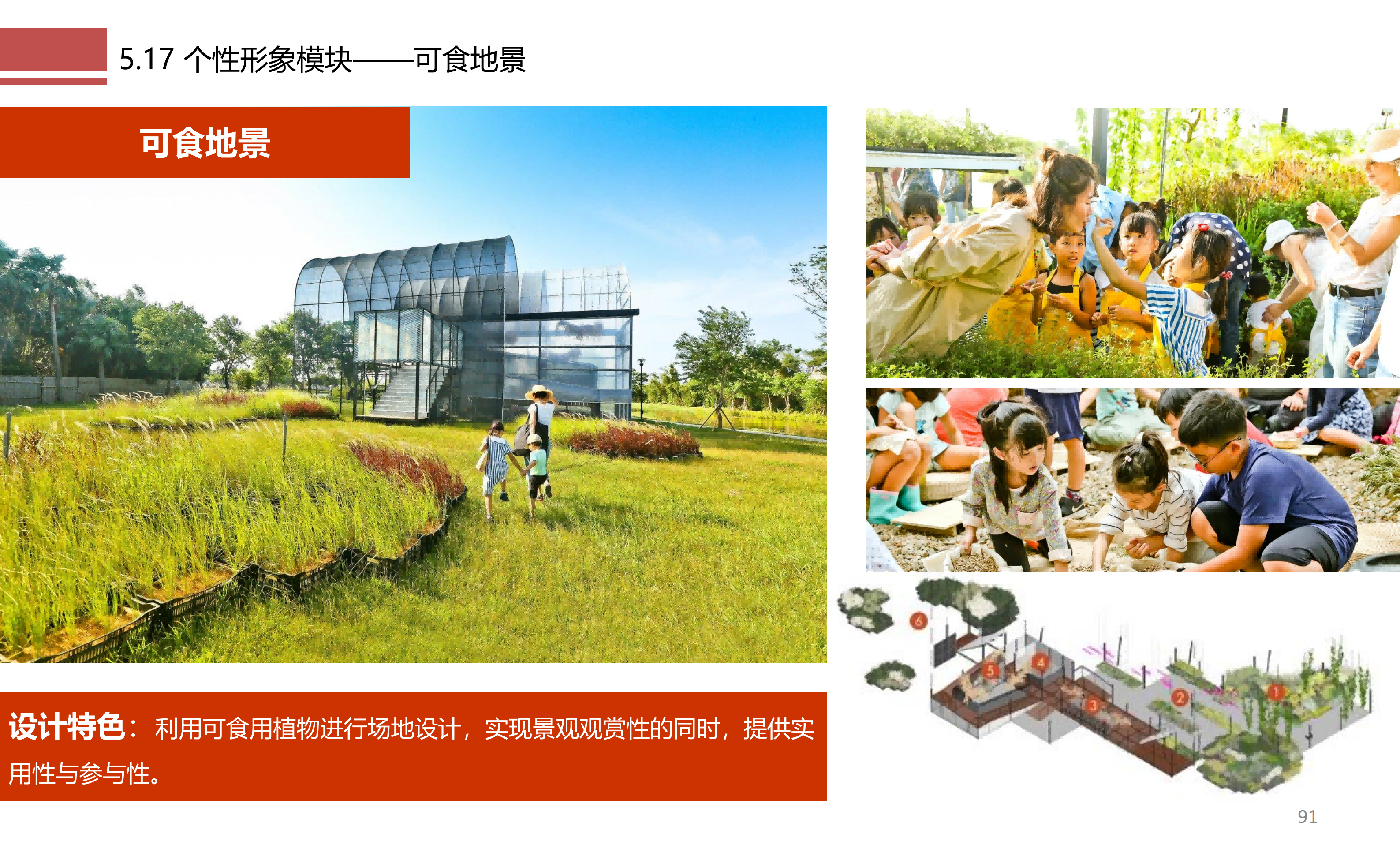 图片[91]-成都市川菜小镇田园综合体农业农文旅概念性规划设计 - 由甫网-由甫网