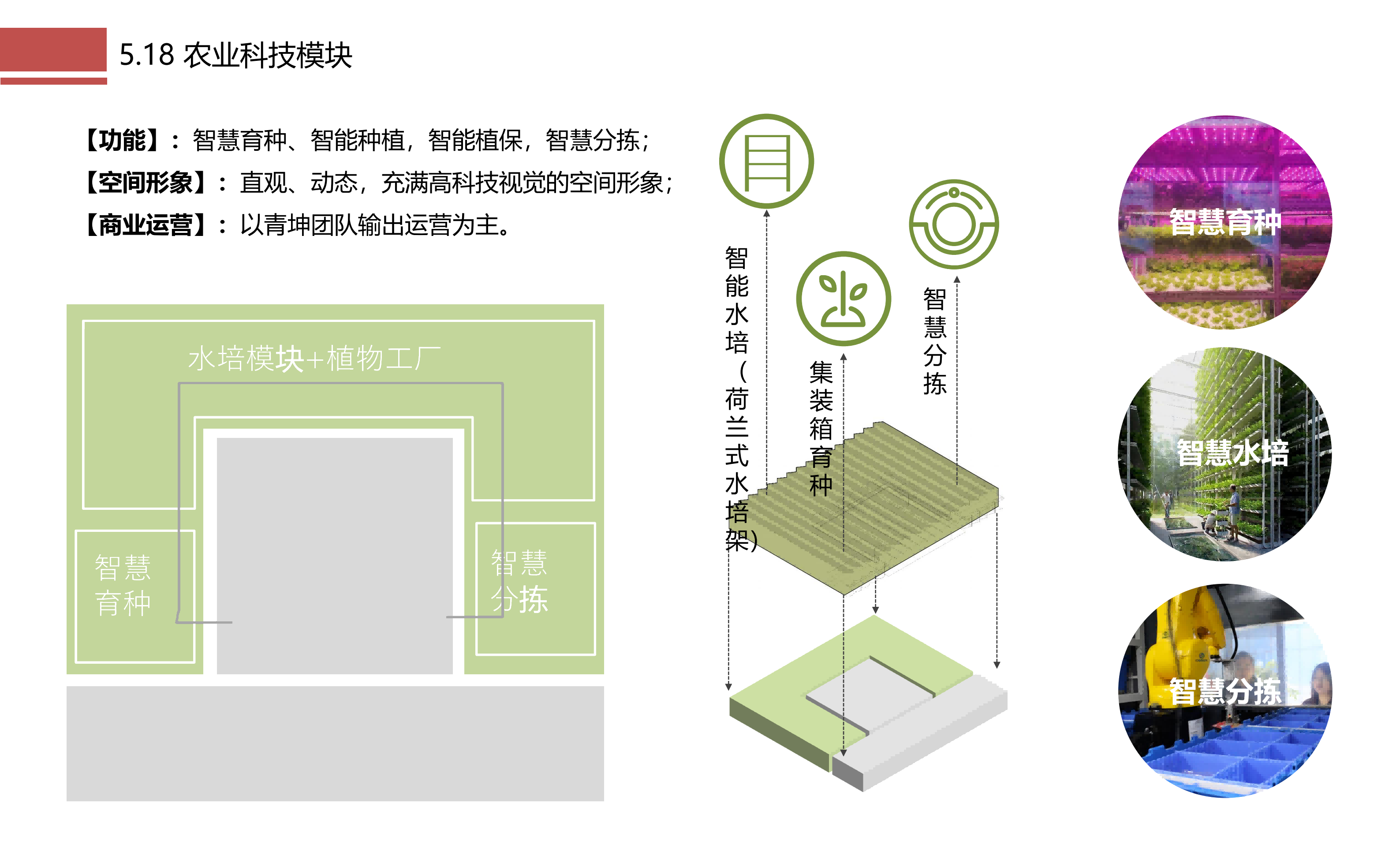 图片[99]-成都市川菜小镇田园综合体农业农文旅概念性规划设计 - 由甫网-由甫网