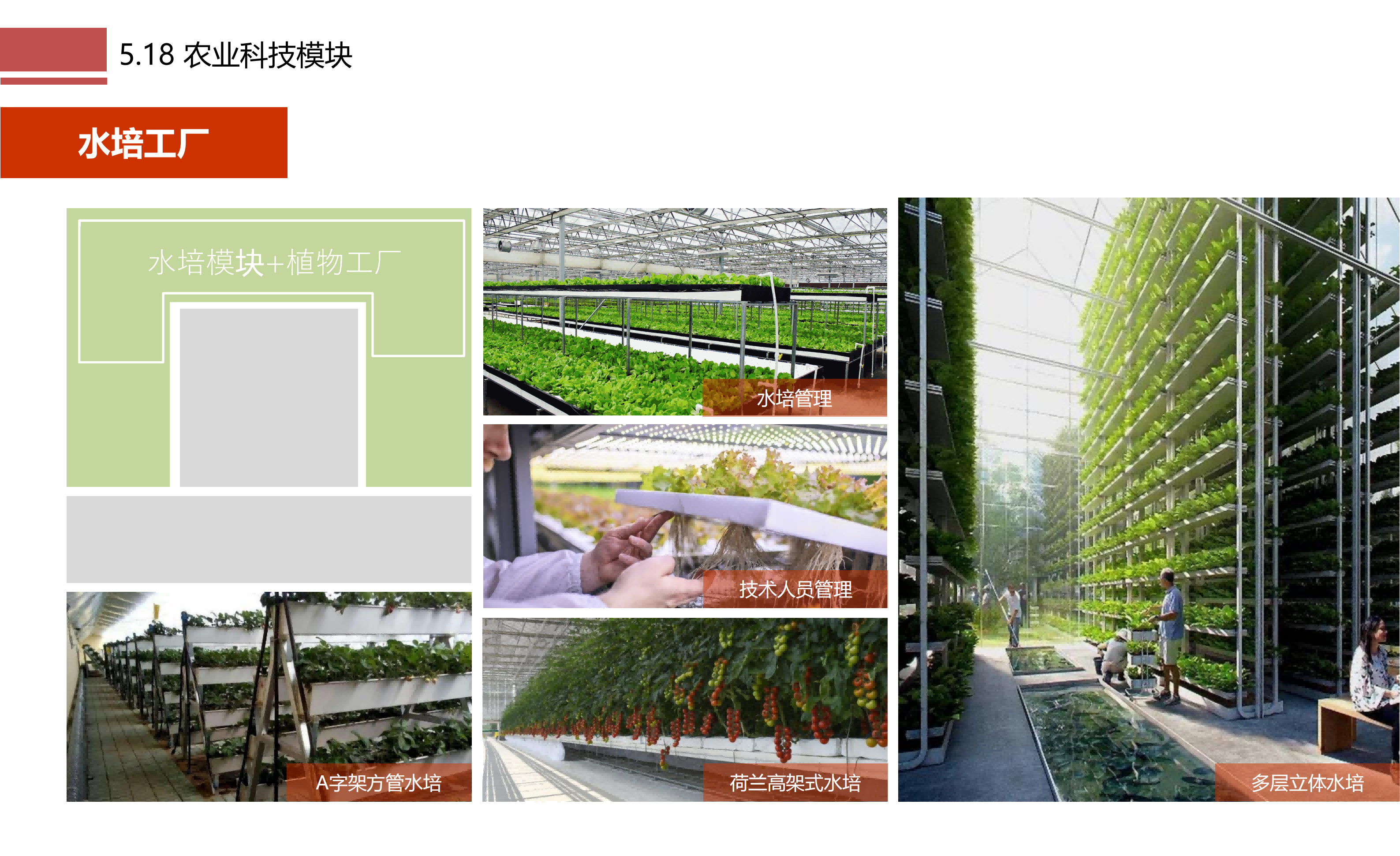 图片[101]-成都市川菜小镇田园综合体农业农文旅概念性规划设计 - 由甫网-由甫网