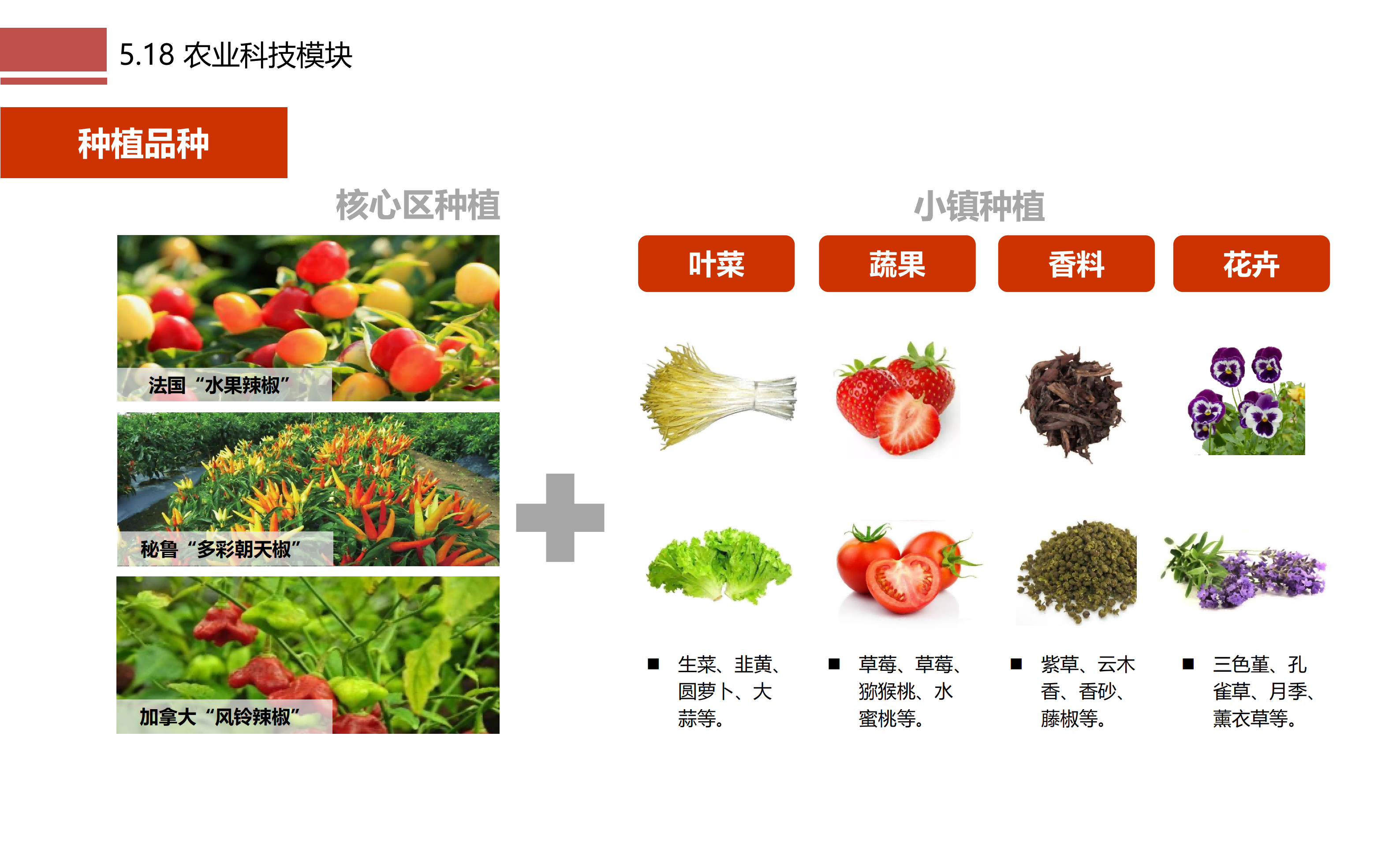 图片[103]-成都市川菜小镇田园综合体农业农文旅概念性规划设计 - 由甫网-由甫网
