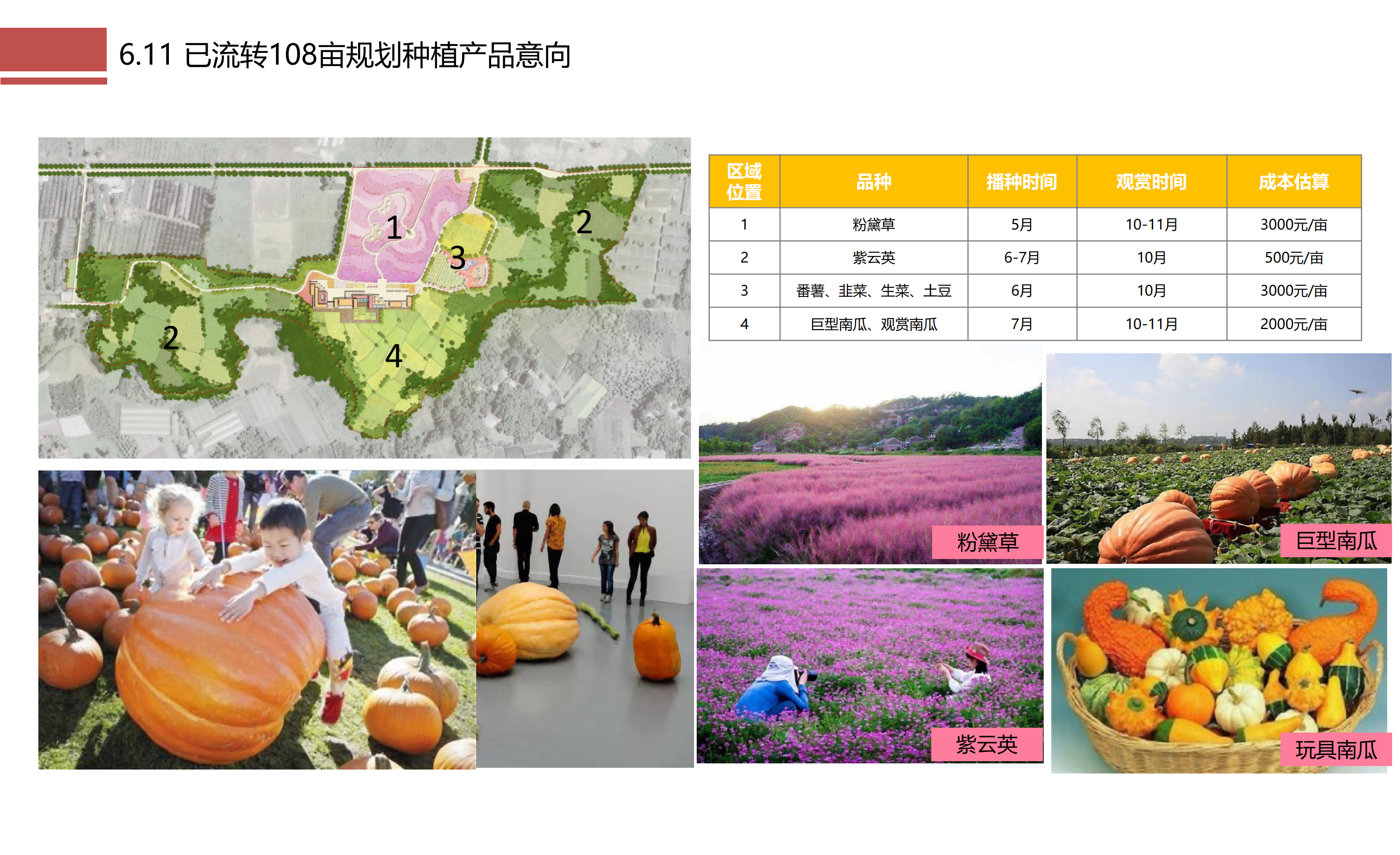 图片[129]-成都市川菜小镇田园综合体农业农文旅概念性规划设计 - 由甫网-由甫网