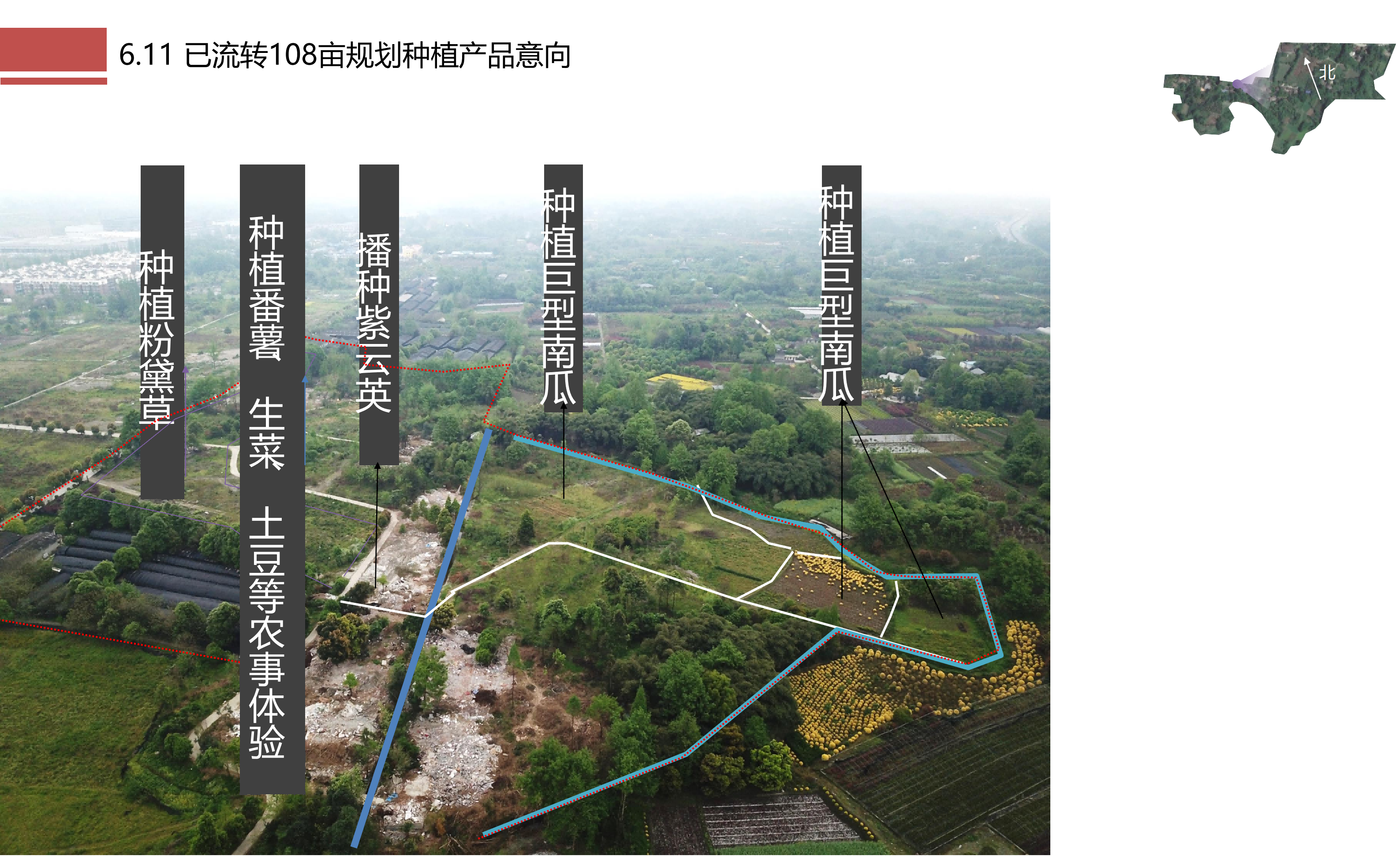 图片[130]-成都市川菜小镇田园综合体农业农文旅概念性规划设计 - 由甫网-由甫网