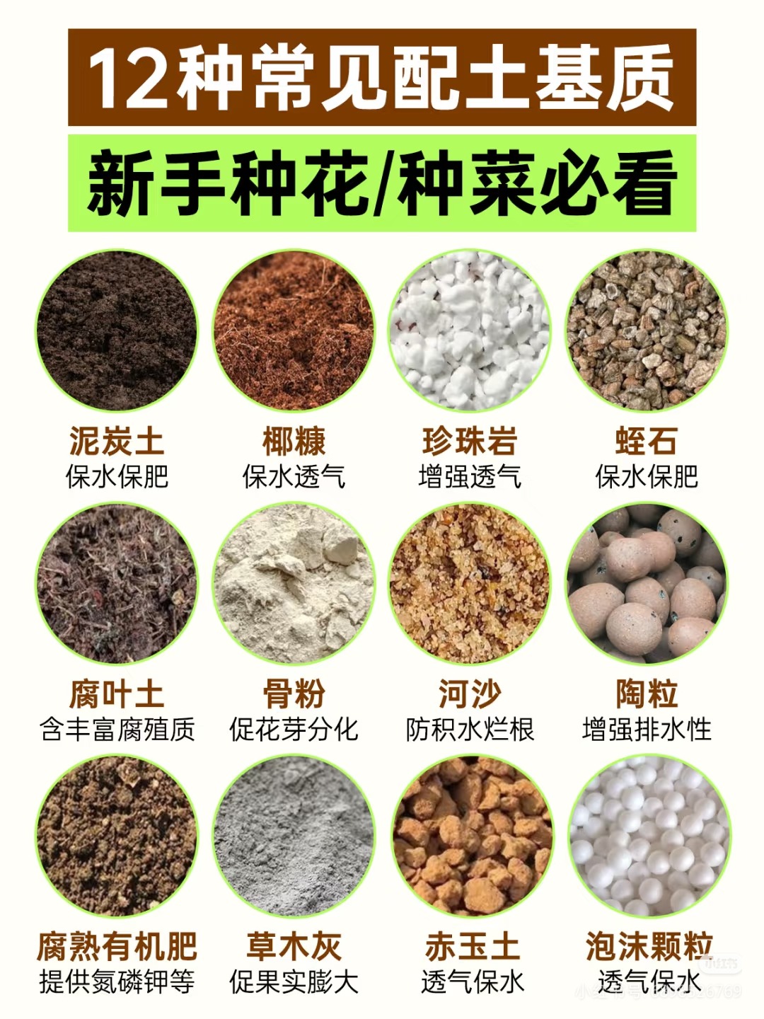 三角梅种植与养护全指南：从新手到爆花达人-爱思迪