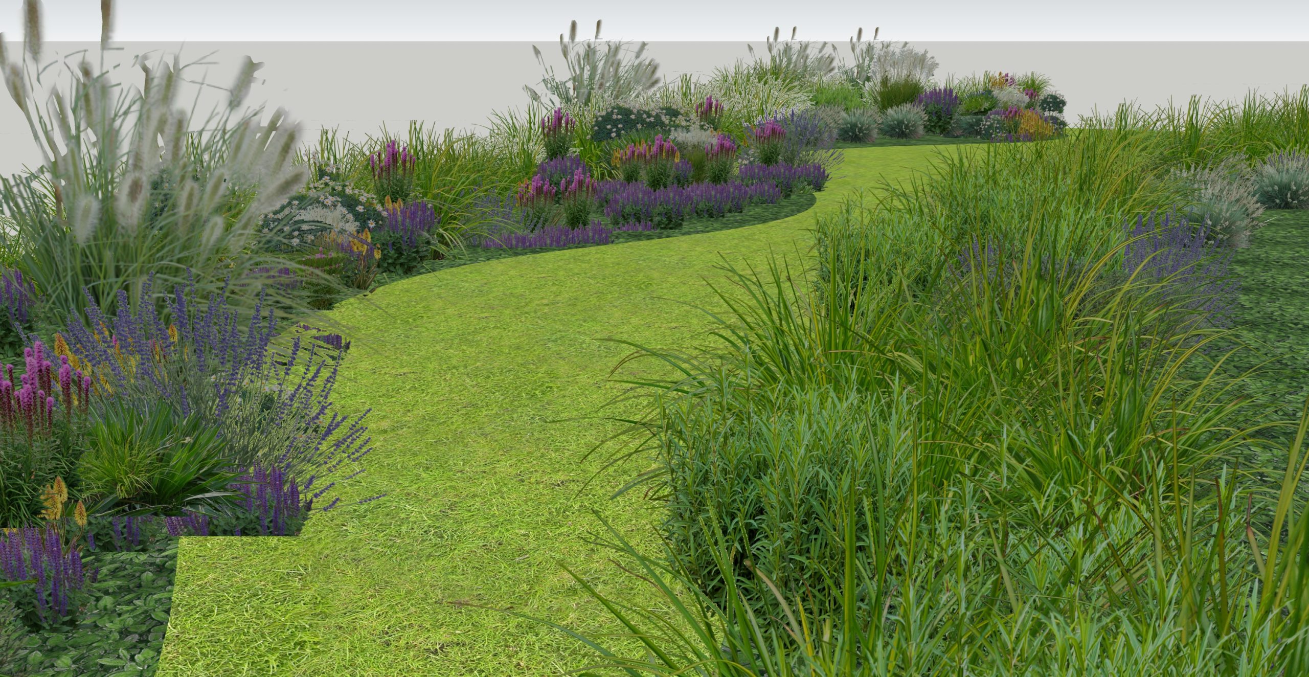 花草 芒草类花镜 屋顶花园 组合花镜-由甫网