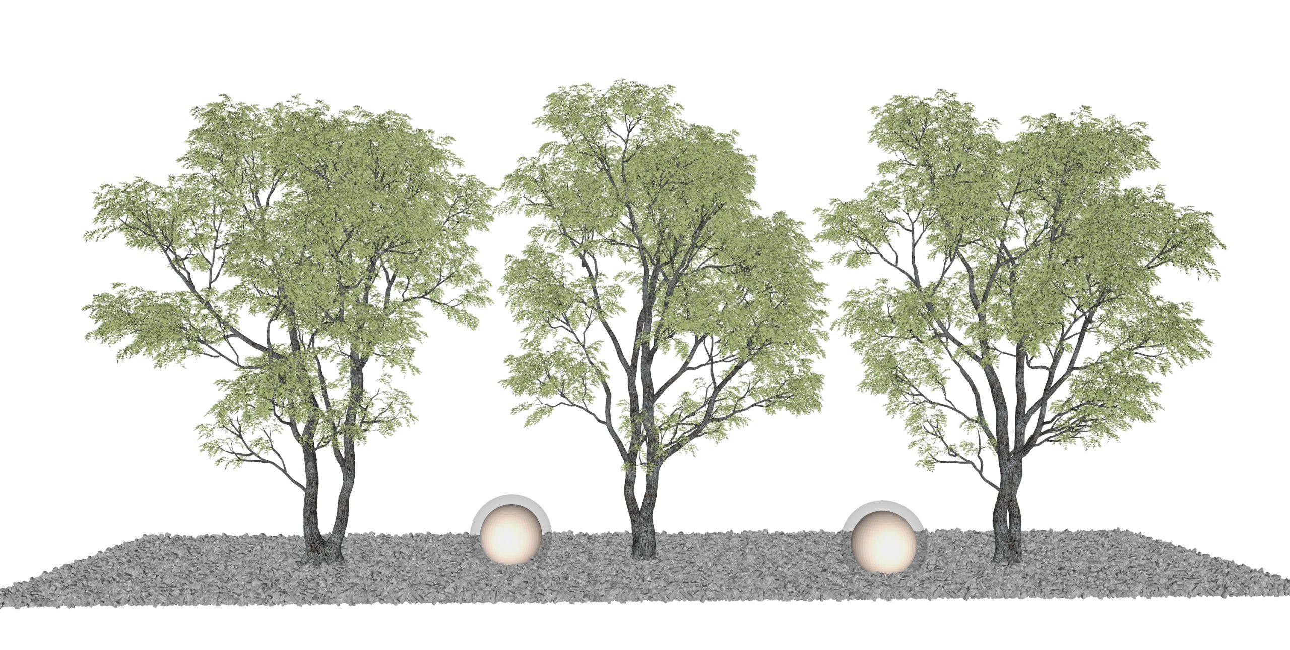 3D景观树_乔木_植物景观su模型-由甫网