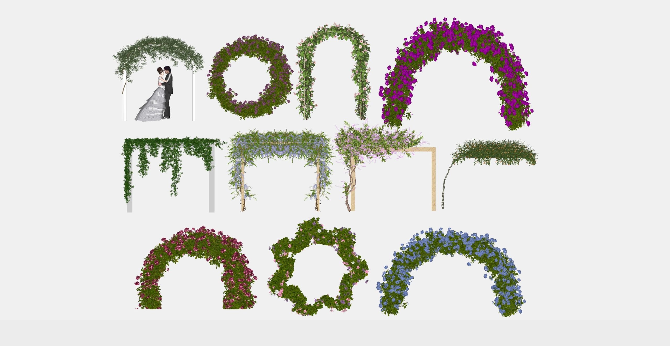 藤本_蔓藤植物_花架_花型廊架_植物花拱门_婚庆花架_植物拱门_植物SU模型-由甫网
